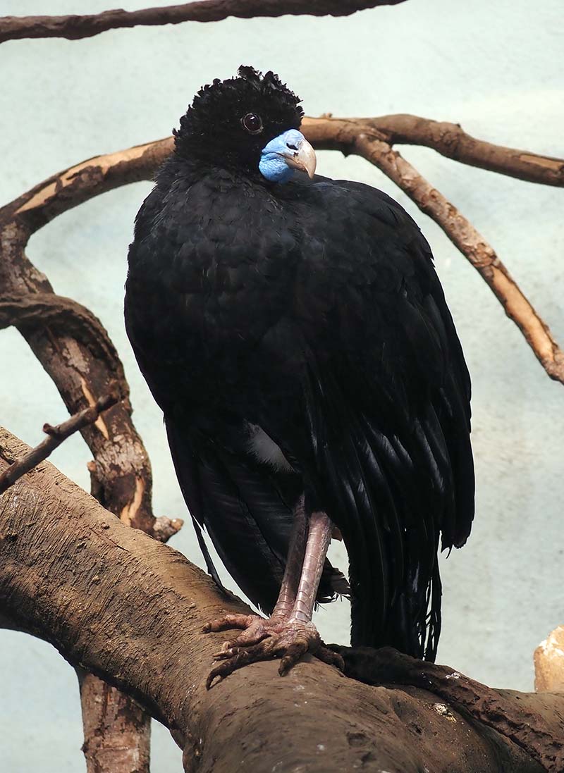 P6200319