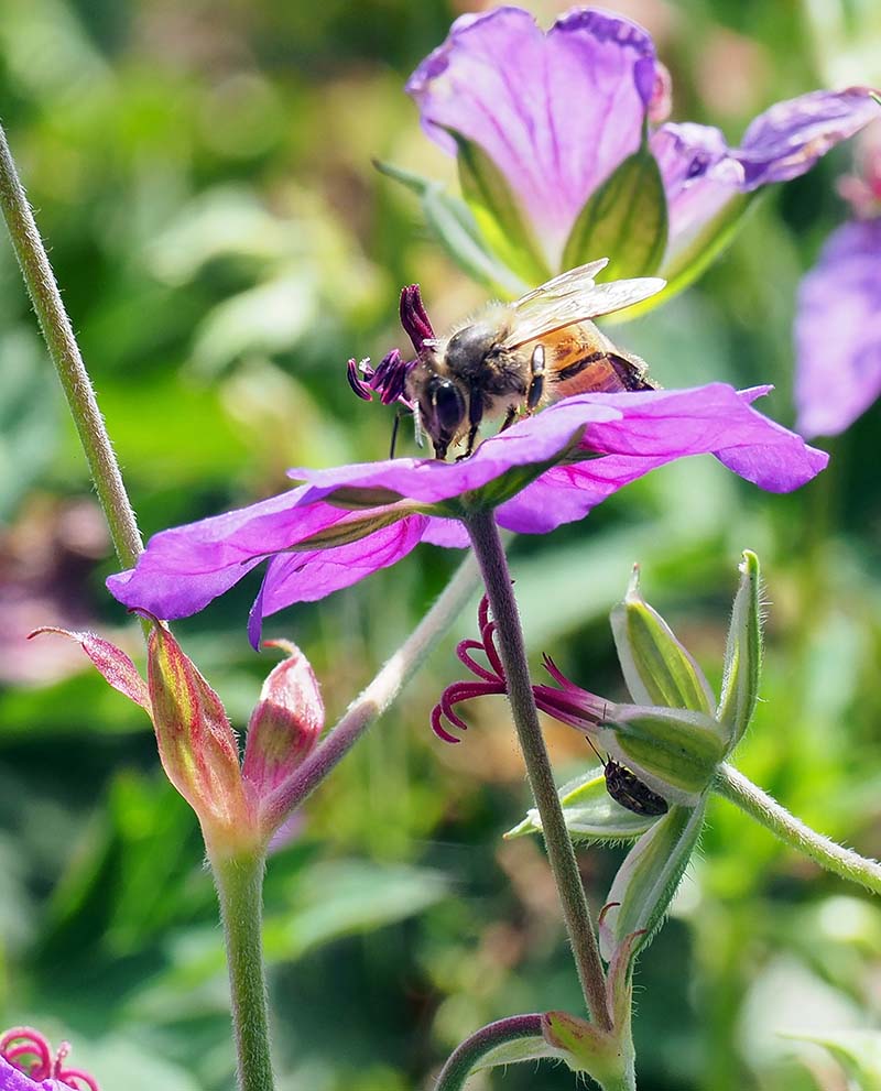 P7071488