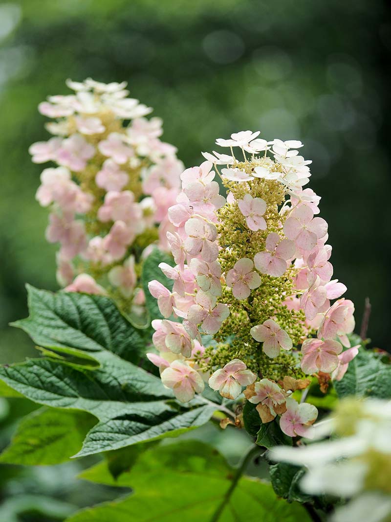 P7020848