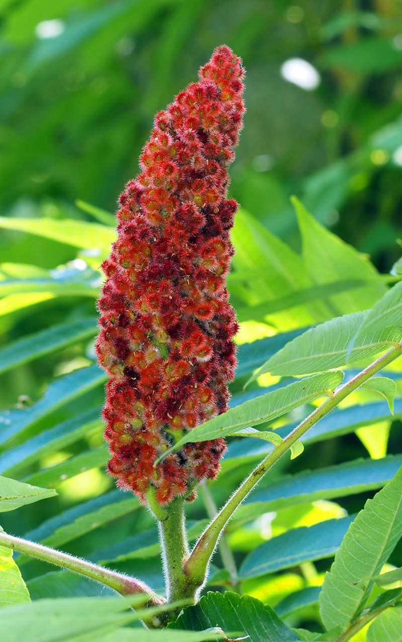 P7310003