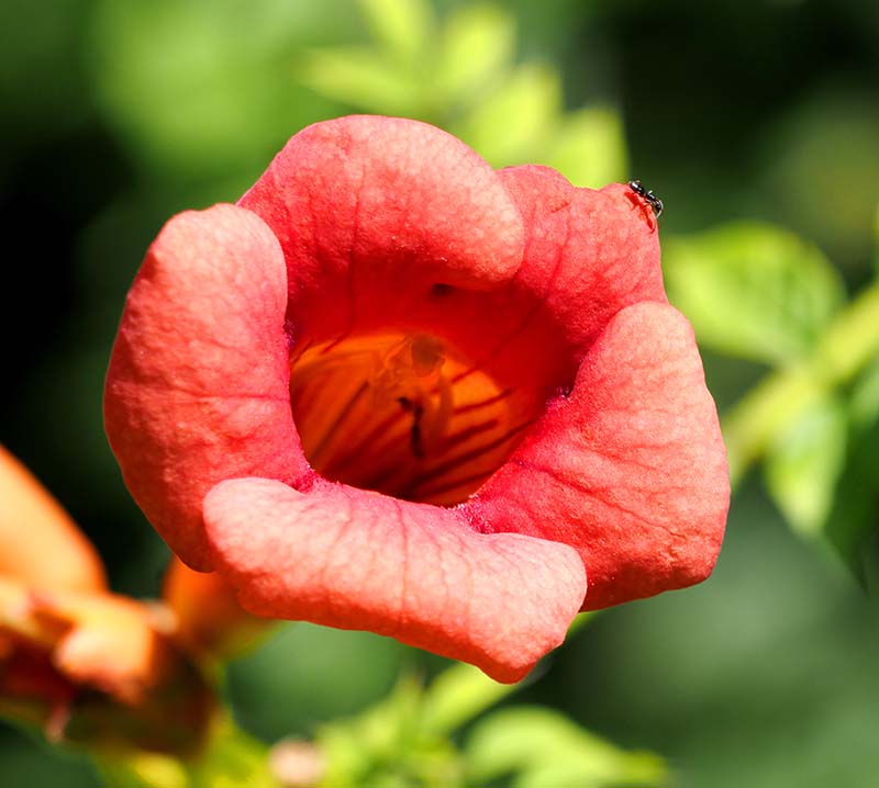 P7310012